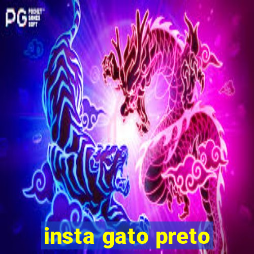 insta gato preto